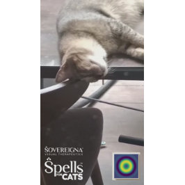 Spells for Cats: Calm Kitty (Calming) Aufkleber