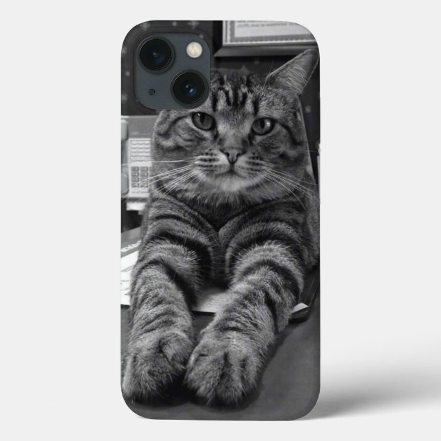 Spencer-Katze iPhone 6 Fall Case-Mate iPhone Hülle (Rückseite)