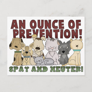 Spenden und Neuter Ihre Haustiere Postkarte