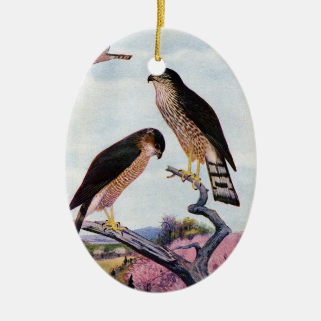 Sperber Keramik Ornament (Vorne)