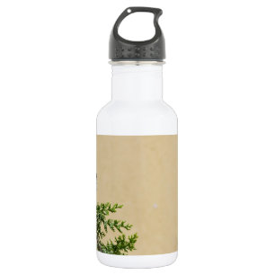 Sperlingsvogelfotografie Trinkflasche