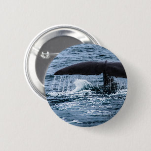 Sperm Whale Button