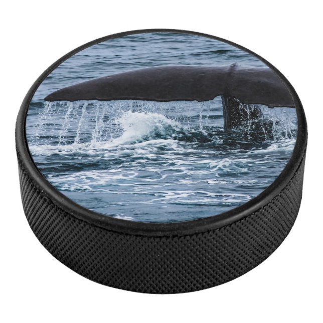 Sperm Whale Eishockey Puck (3/4)