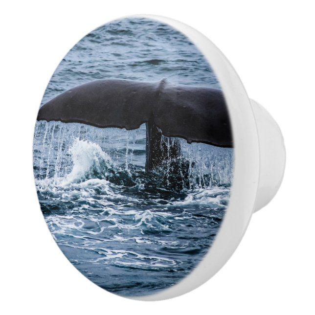 Sperm Whale Keramikknauf (Rechts)