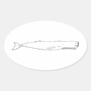 Sperm Whale (Line Art) Ovaler Aufkleber