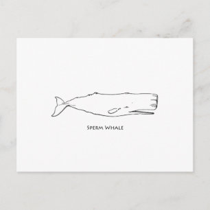 Sperm Whale (Line Art) Postkarte