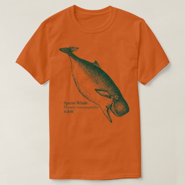 Sperm Whale Physeter macrocephalus Wissenschaftlic T-Shirt (Design vorne)