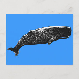 Sperm Whale Postkarte