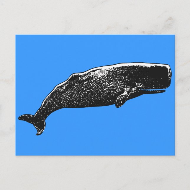 Sperm Whale Postkarte (Vorderseite)