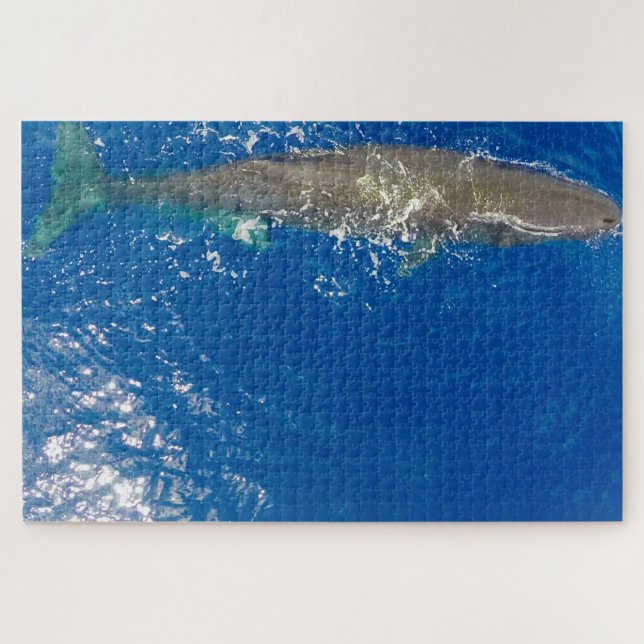 Sperm Whale Puzzle (Horizontal)