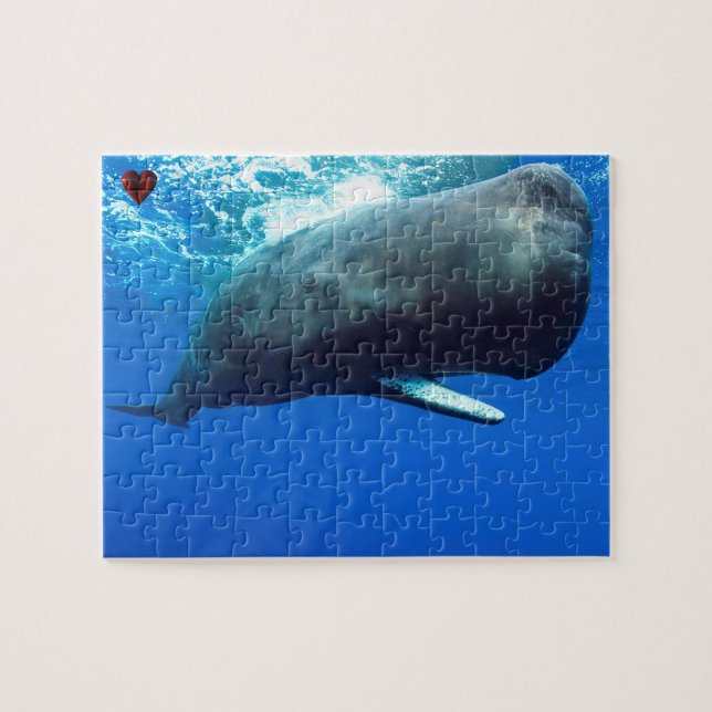 Sperm Whale Puzzle (Horizontal)