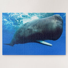 Sperm Whale Puzzle