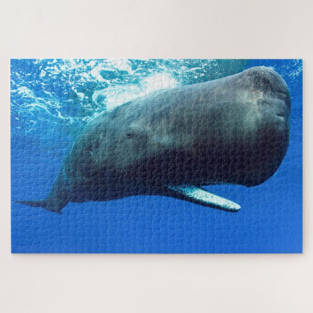 Sperm Whale Puzzle (Horizontal)