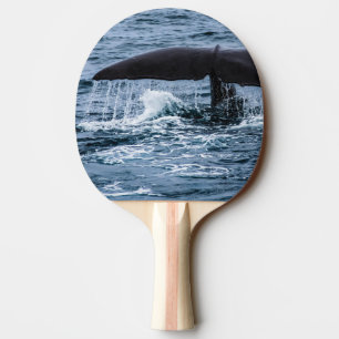 Sperm Whale Tischtennis Schläger