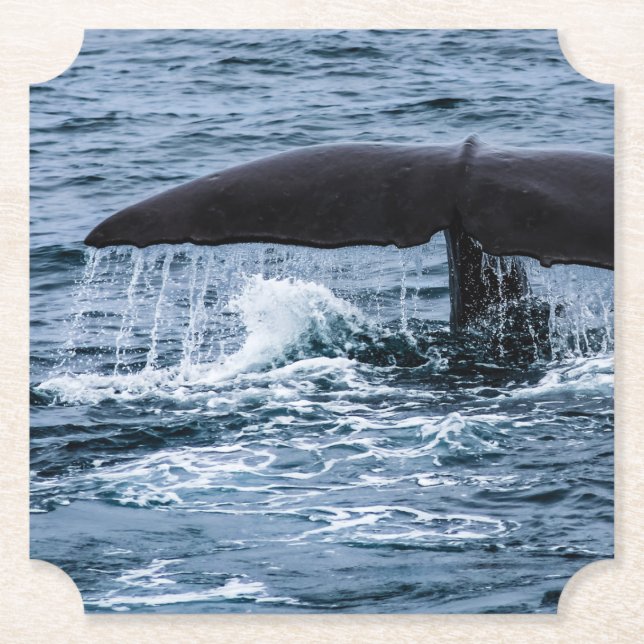 Sperm Whale Untersetzer (Vorderseite)