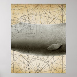 Sperm Whale Vintage Karte Teil 2 Poster