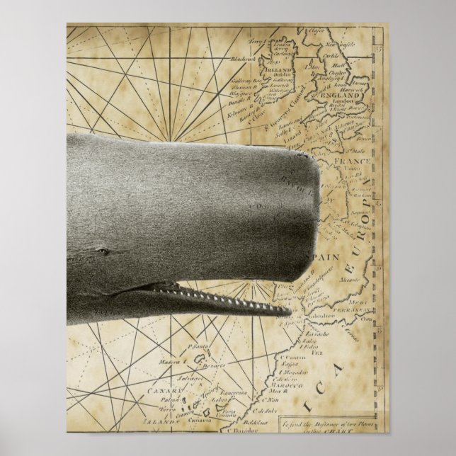 Sperm Whale Vintage Karte Teil 3 Poster (Vorne)