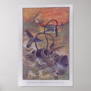 Sperma Whale Riesen-Tintenfisch Fight Color Print Poster