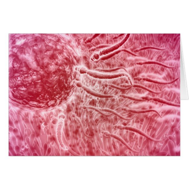 Spermien, die mit Cellia zu Ei reisen (Vorderseite (Horizontal))