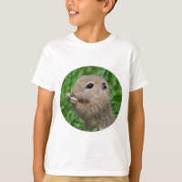 Spermophilus citellus