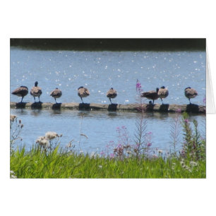 Sperre der Enten auf einem Rundholz