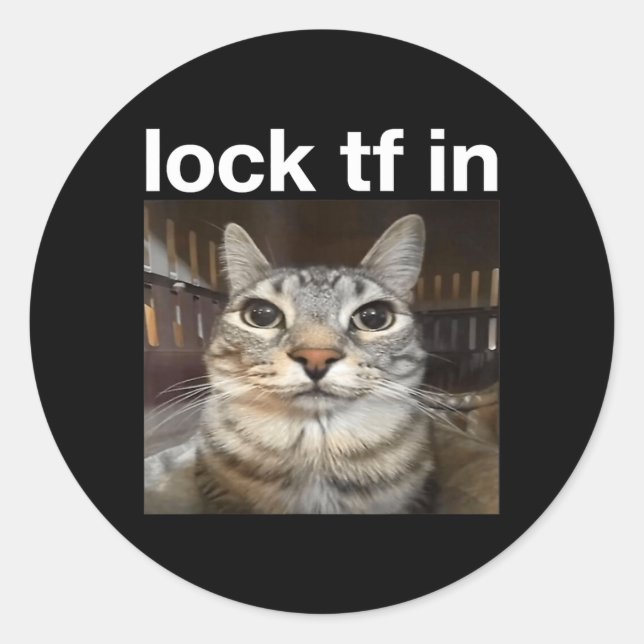 Sperre TF in Cat Meme Runder Aufkleber (Vorderseite)
