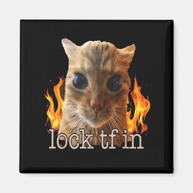 Sperre tf in Katze ein Magnet (Vorne)