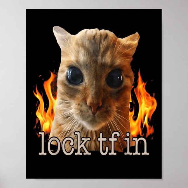 Sperre tf in Katze Poster (Vorne)