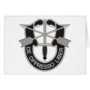 Spezialkräfte SF De Oppresso Liber