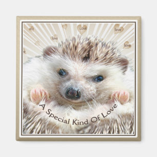 spezielle Art des Igels der Liebe Magnet