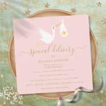 Spezielle Lieferung Storch Pink Baby Dusche Sprink