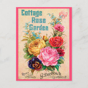 Spezielle Rose Postkarte