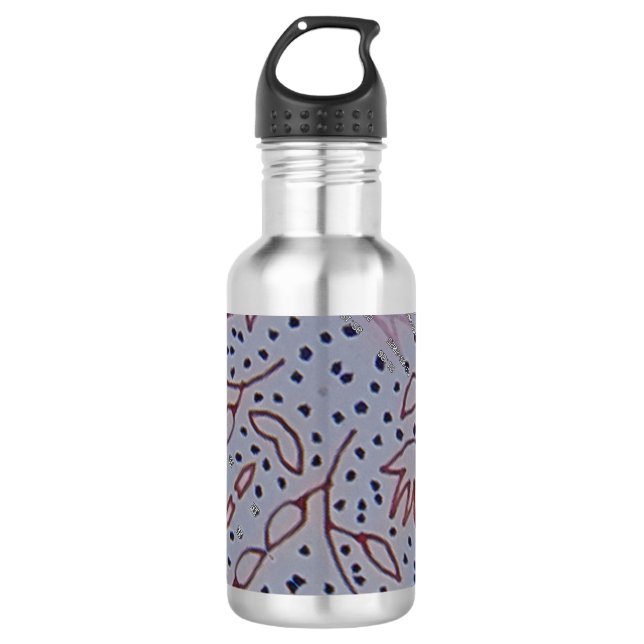 Spezielle Tasse Edelstahlflasche (Vorderseite)