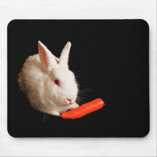 Spezielles Foto für Heimtiere Mousepad