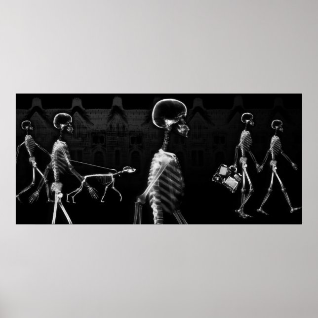 Spezielles X-Ray Skeleton Aquarium Hintergrund Poster (Vorne)