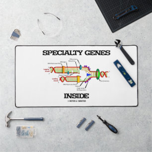 Spezifische Gene innerhalb der DNA-Replikation Schreibtischunterlage