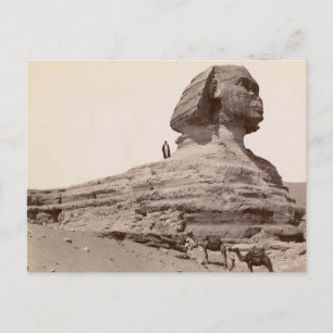 Sphinx Ägypten Postkarte