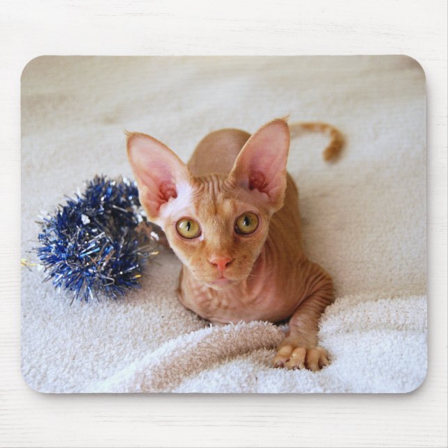 Sphinx Cat mit Blue Tinsel Mousepad (Vorne)
