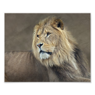 Sphinx Druck