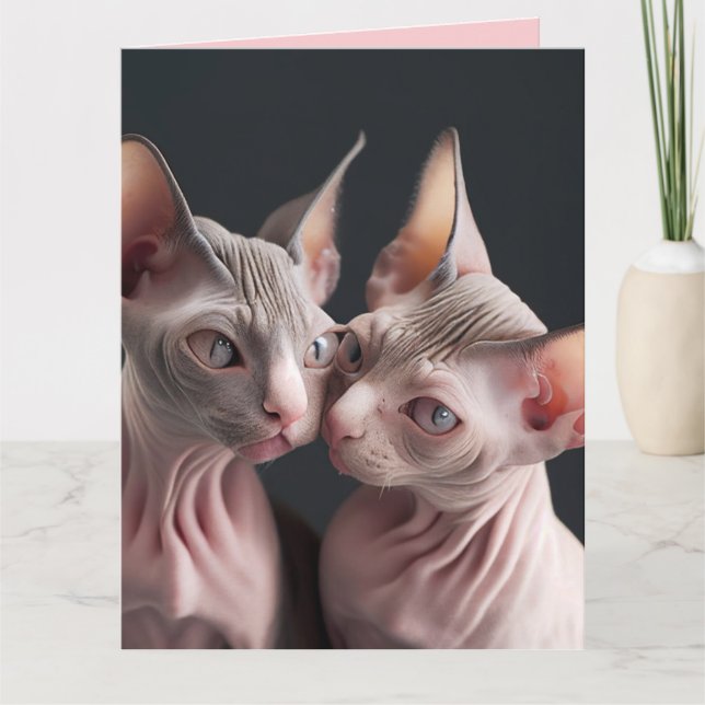 SPHINX HAIRLESS CAT BIG VALENTINE'S DAY CARD KARTE (Vorderseite)