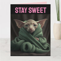 SPHINX KATZE GROSSE VALENTINE TAGESKARTE