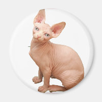 Sphinx
