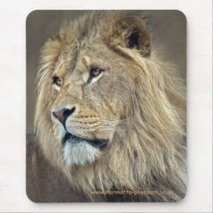 Sphinx-Mauspad Mousepad