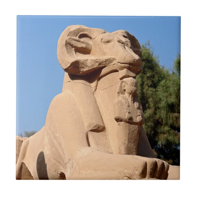 Sphinx mit Rammkopf im Tempel von Karnak - Ägypten Fliese (Vorderseite)