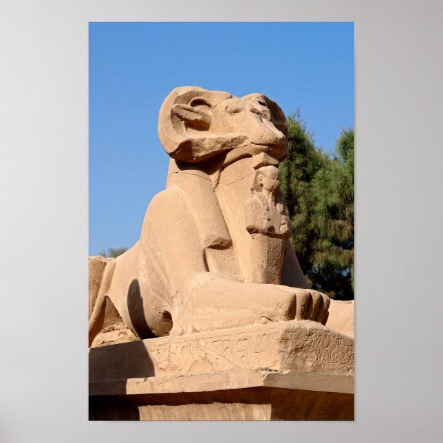 Sphinx mit Rammkopf im Tempel von Karnak - Ägypten Poster (Vorne)