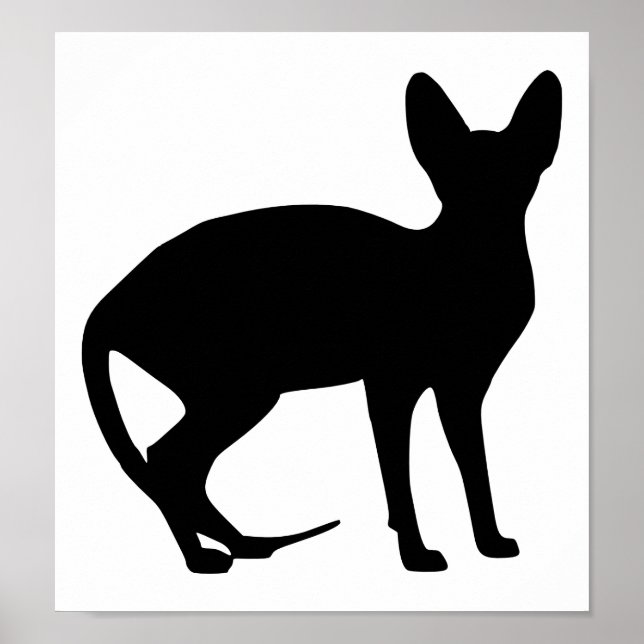 Sphinx Poster (Vorne)