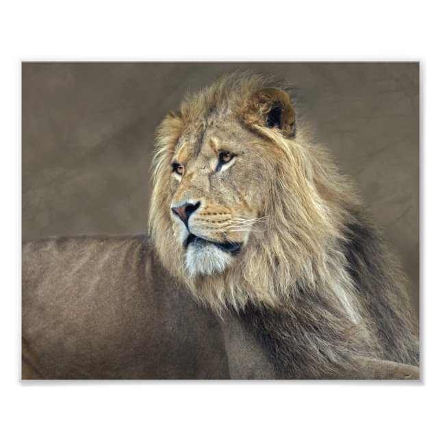 Sphinx Print Fotodruck (Vorne)