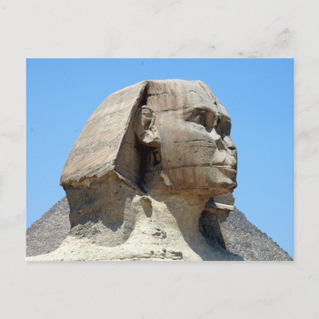Sphinx-Profil Postkarte (Vorderseite)