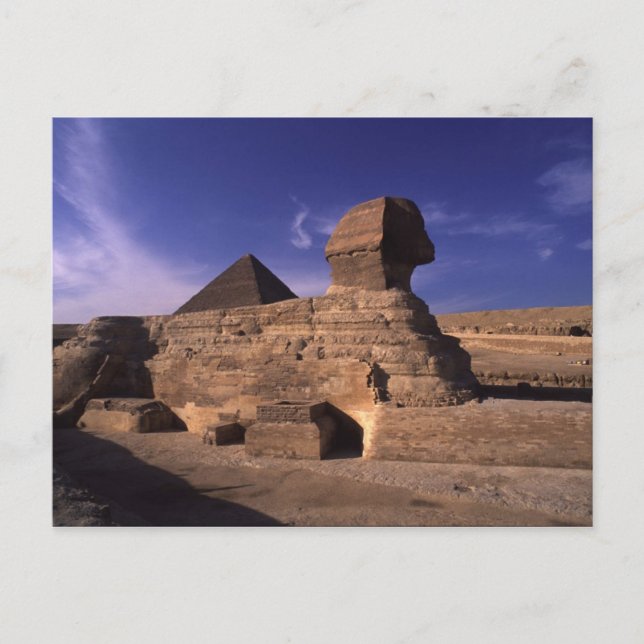 Sphinx Pyramide von Gizeh Postkarte (Vorderseite)