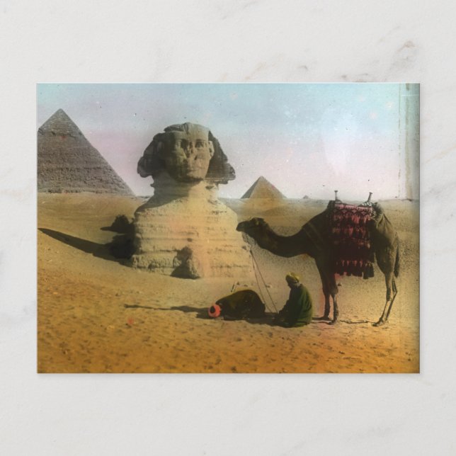 Sphnix und Pyramid Postcard Postkarte (Vorderseite)